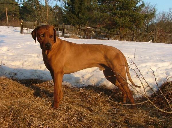 junior (22).jpg